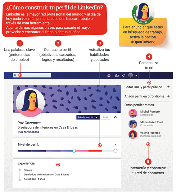 infografia-como.armar-un-cv