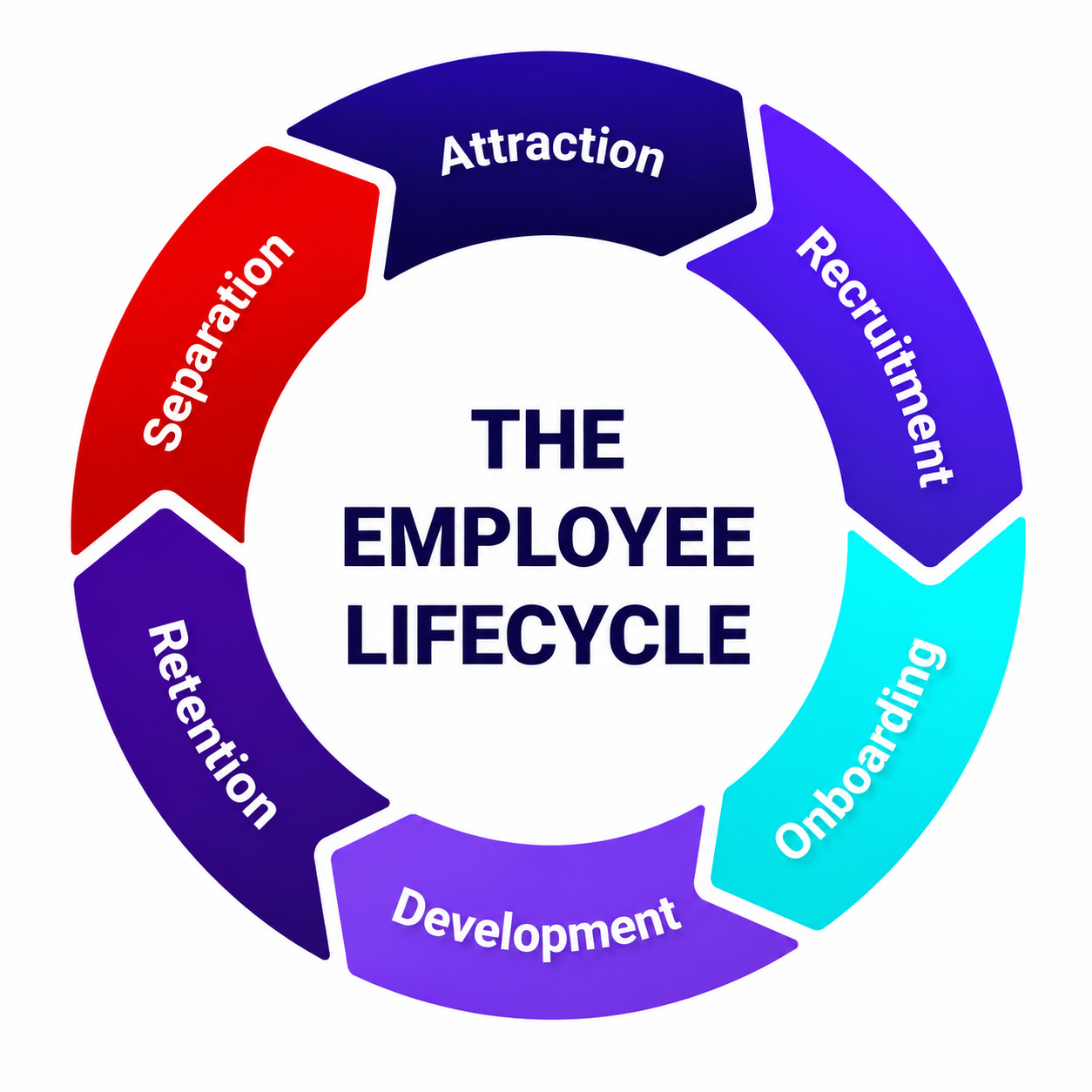 the-employe-lifecycle