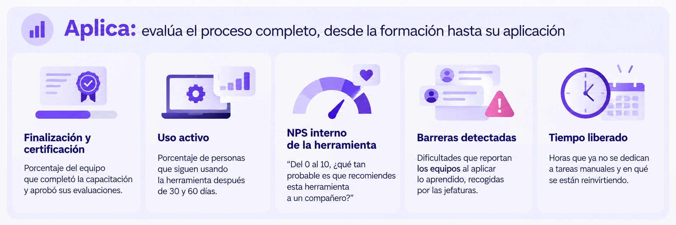 proceso-aplicacion-completo